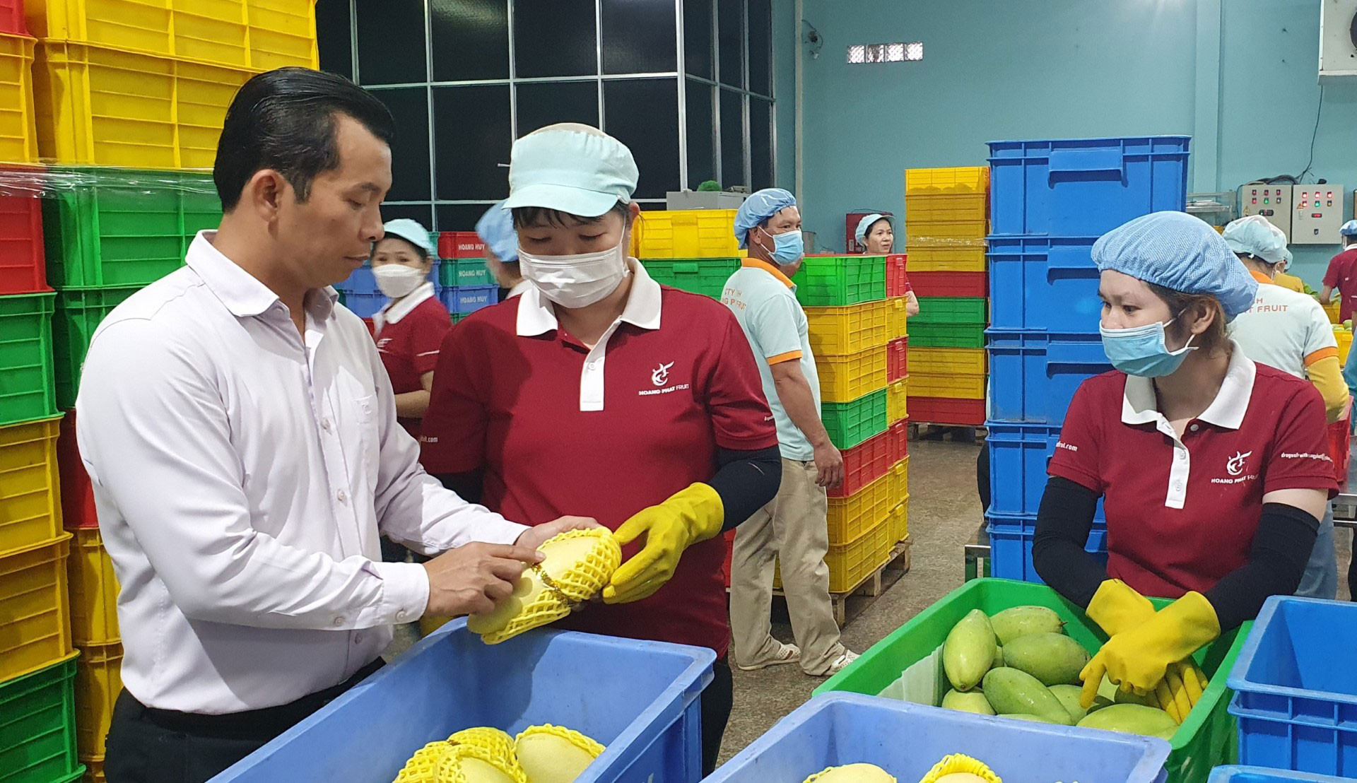 Cơ hội cho thương mại nông nghiệp Việt Nam - Vương quốc Anh còn nhiều