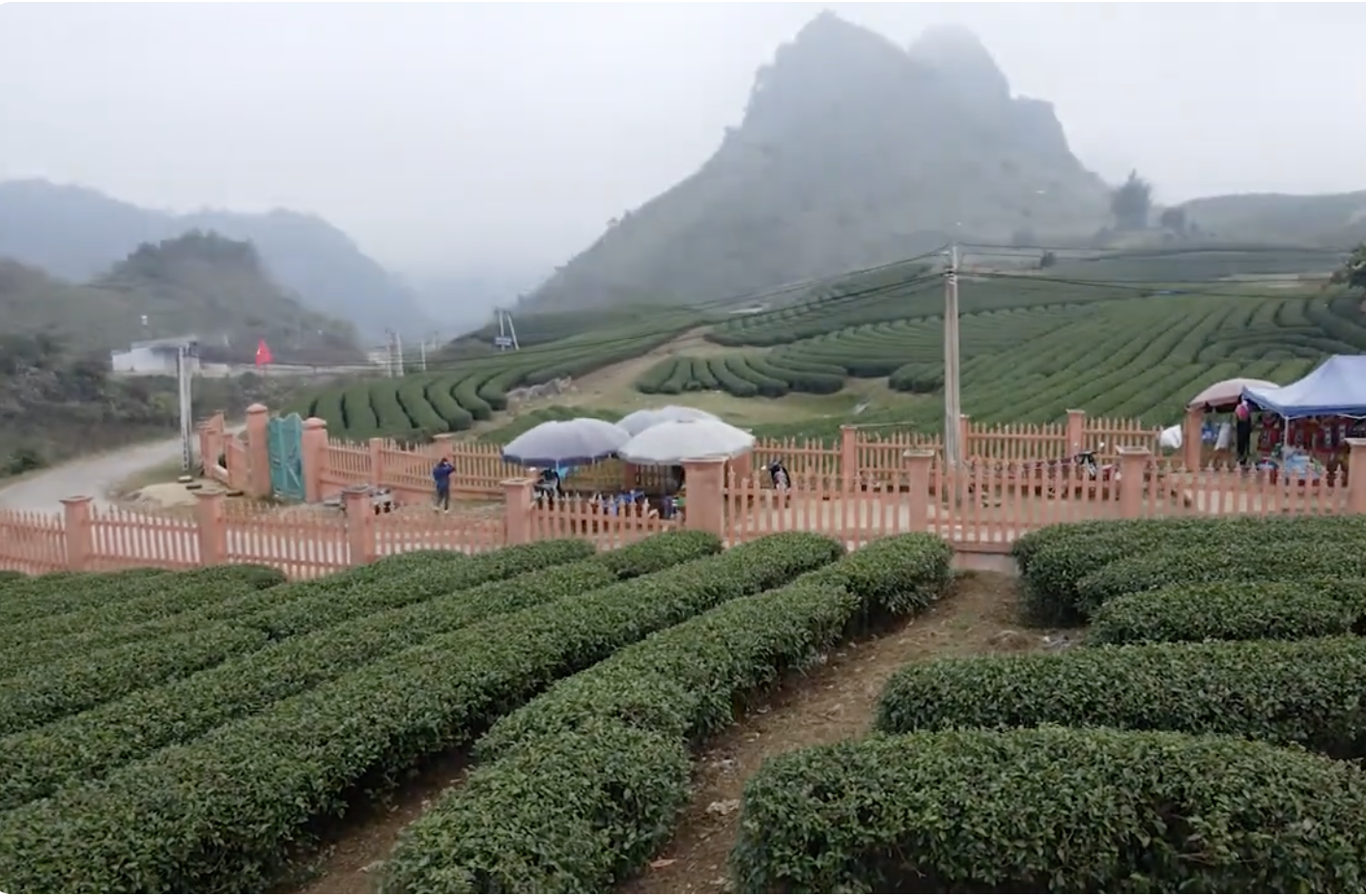 Ưu tiên tín dụng cho khu vực kinh tế tập thể