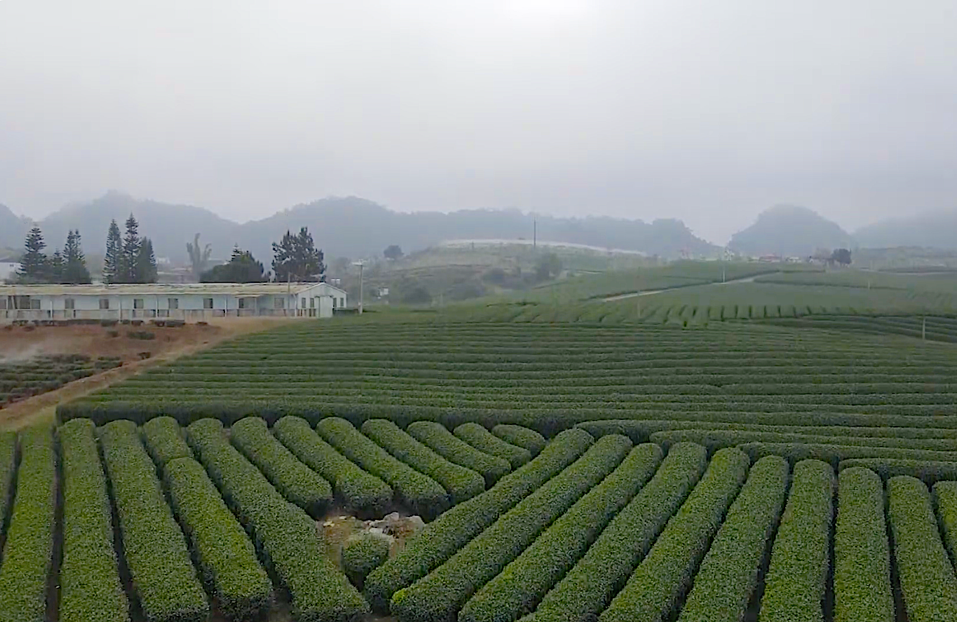 “Giải pháp tháo gỡ vướng mắc trong tiếp cận vốn tín dụng đối với khu vực kinh tế tập thể”