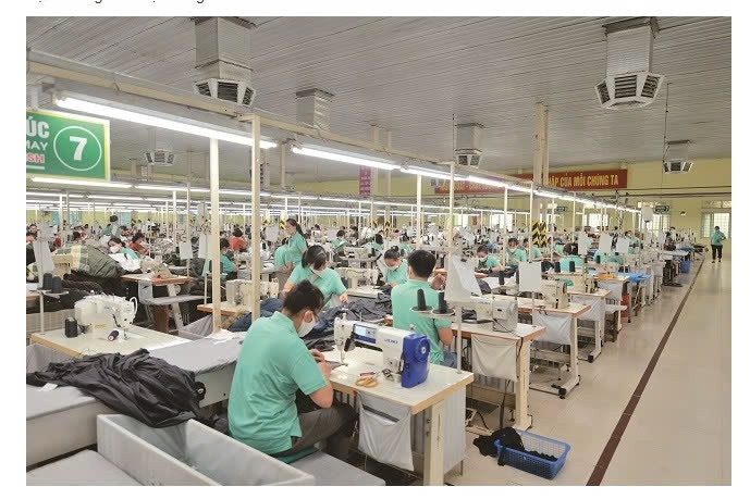 Dệt May Nam Định: Tận dụng tối đa lợi thế về chuỗi sản xuất khép kín