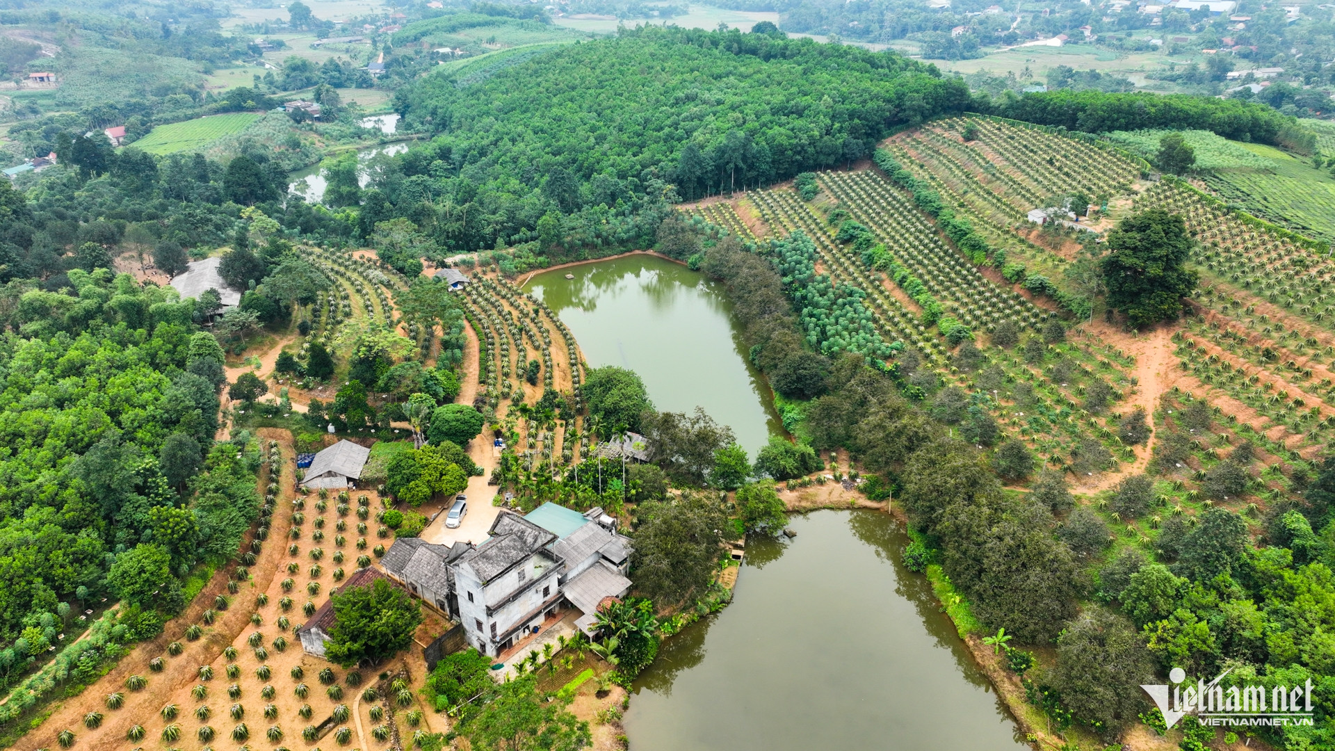 W-nong nghiep chuong trinh muc tieu quoc gia 11.jpg