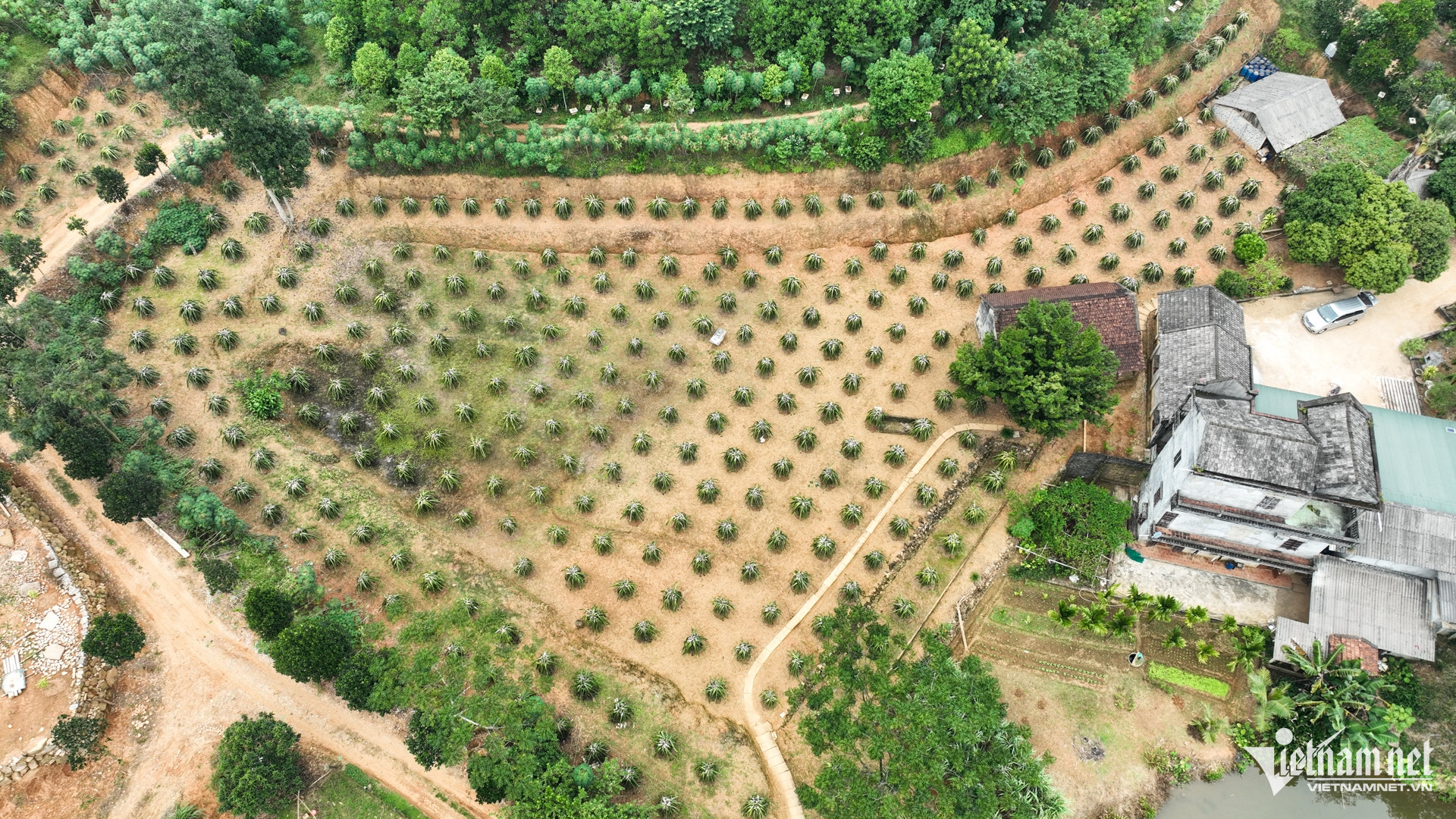 W-nong nghiep chuong trinh muc tieu quoc gia 15.jpg