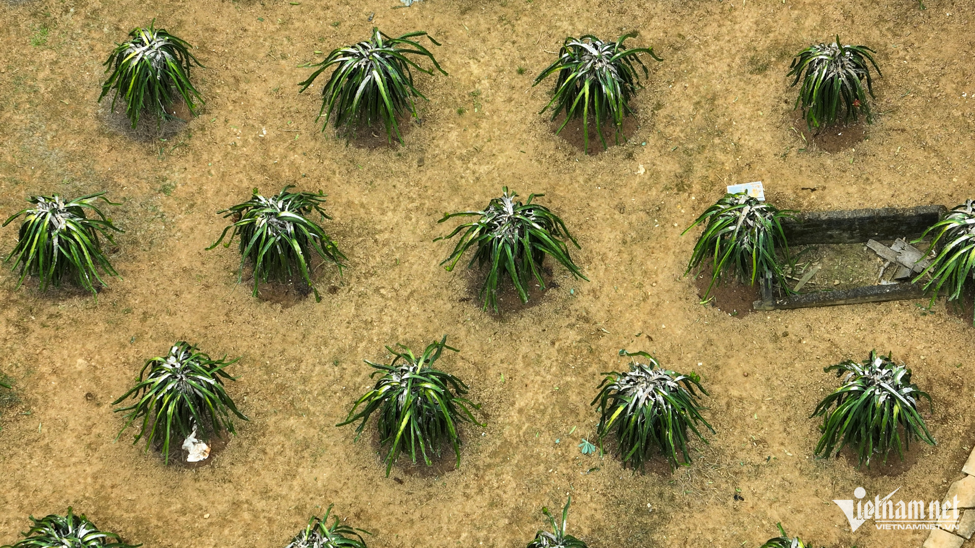 W-nong nghiep chuong trinh muc tieu quoc gia 16.jpg