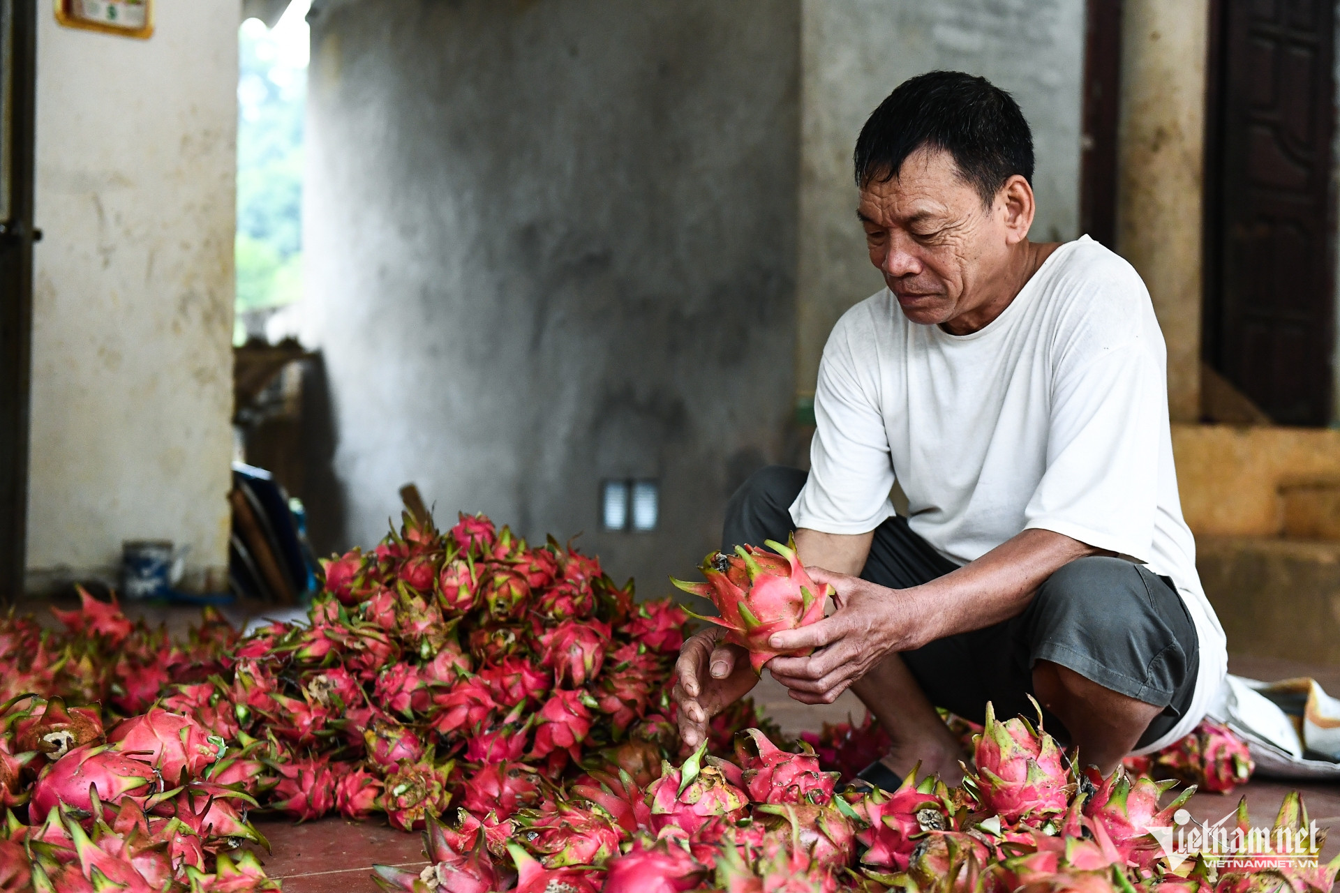 W-nong nghiep chuong trinh muc tieu quoc gia 3.jpg