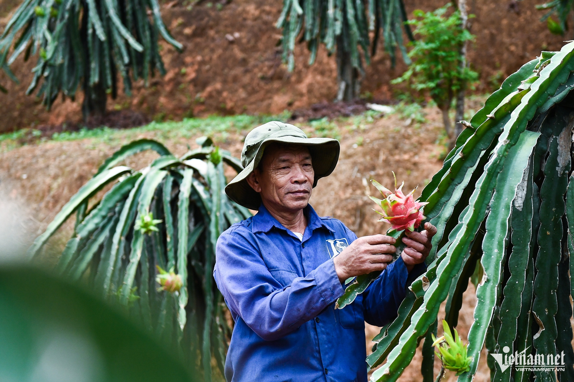 W-nong nghiep chuong trinh muc tieu quoc gia 4.jpg