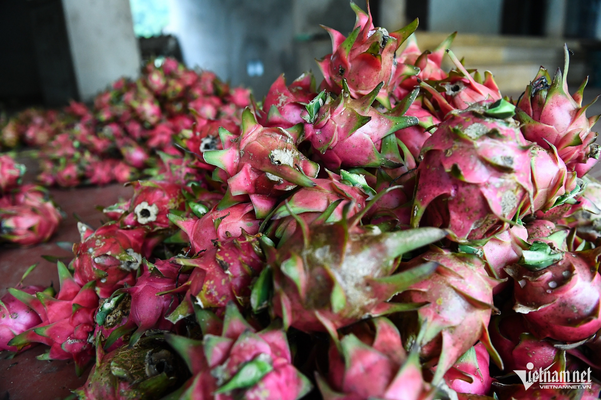 W-nong nghiep chuong trinh muc tieu quoc gia.jpg