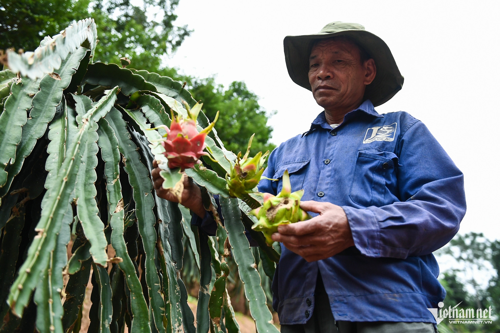 W-nong nghiep chuong trinh muc tieu quoc gia 6.jpg