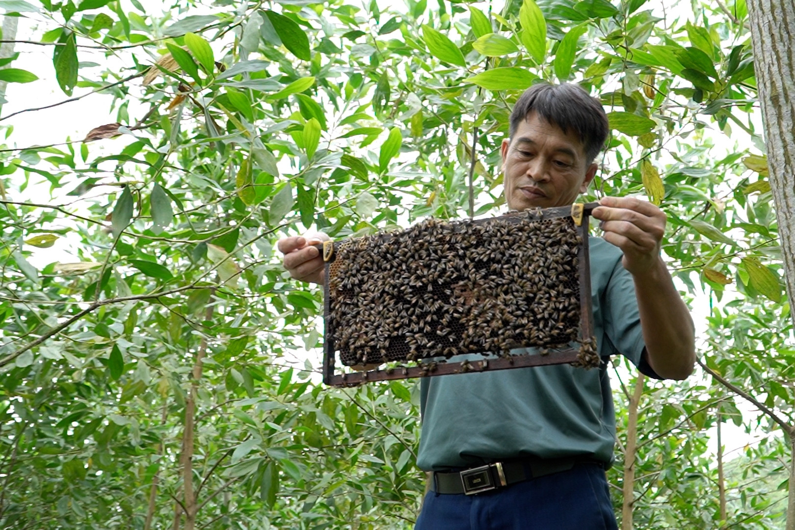 Nhanh nhạy, thức thời, lão nông người Mường tự lực làm giàu trên quê hương