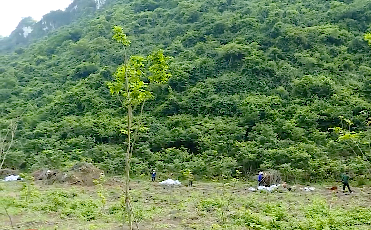 Ứng dụng điện toán đám mây để lưu trữ các dữ liệu về loại cây trồng, đất đai, năng suất, sản lượng…