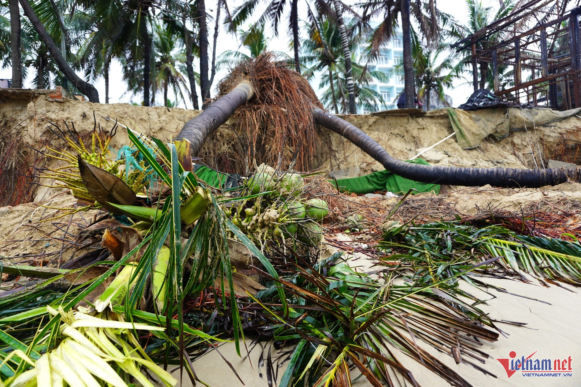 W-sat lo bien da nang4.JPG.jpg