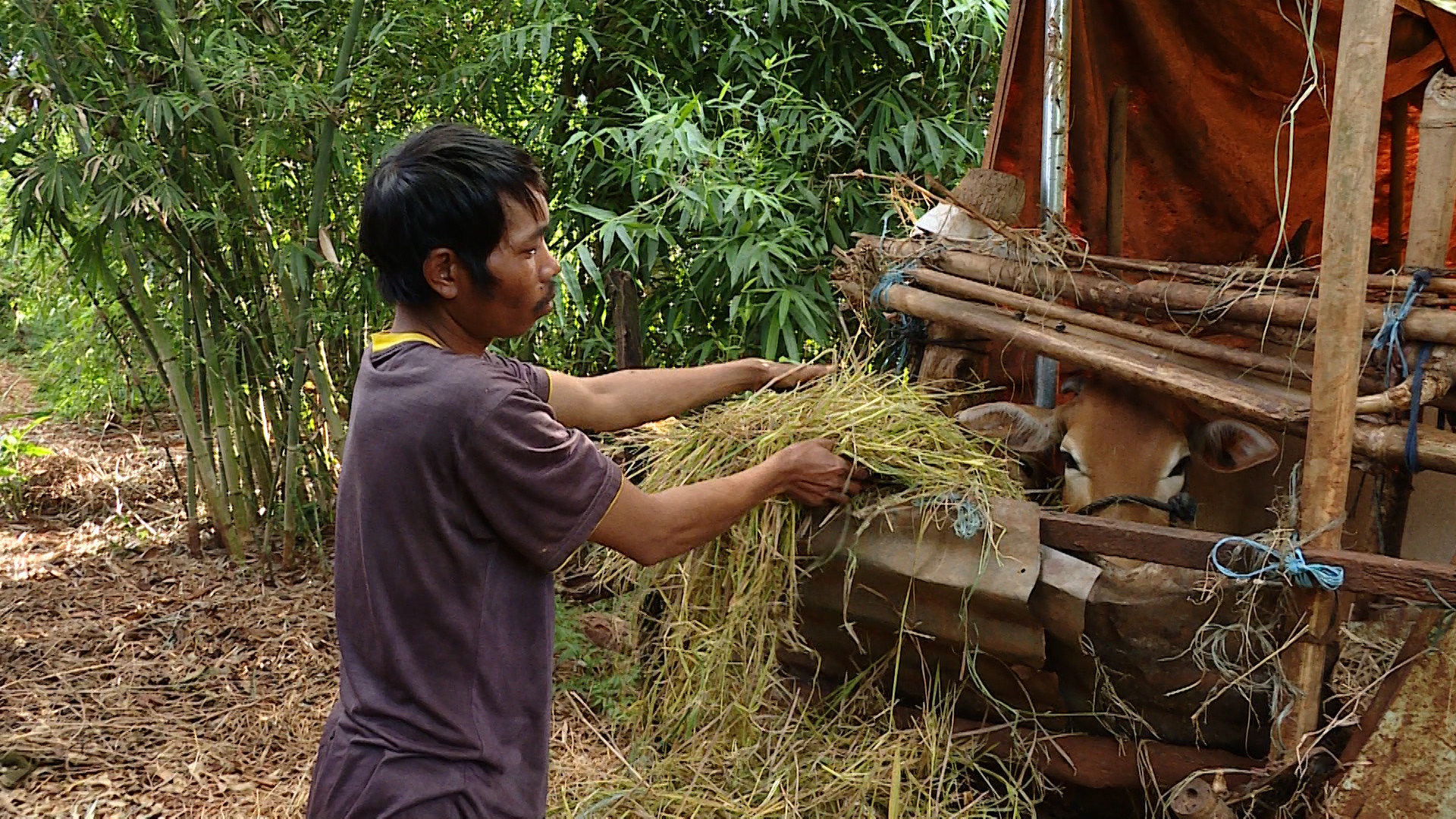 đa dạng kênh thông tin.jpg