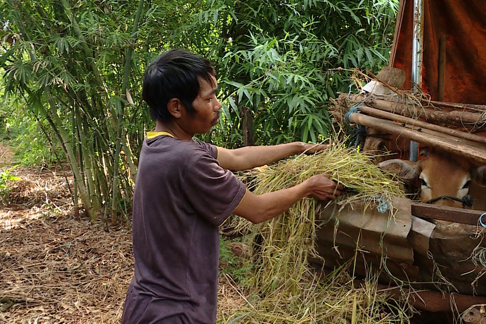 Đa dạng kênh thông tin, giúp dân xã vùng III vươn lên thoát nghèo
