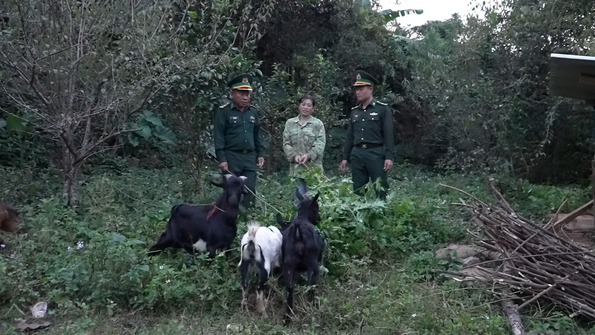 tăng kết nối thông tin.jpg