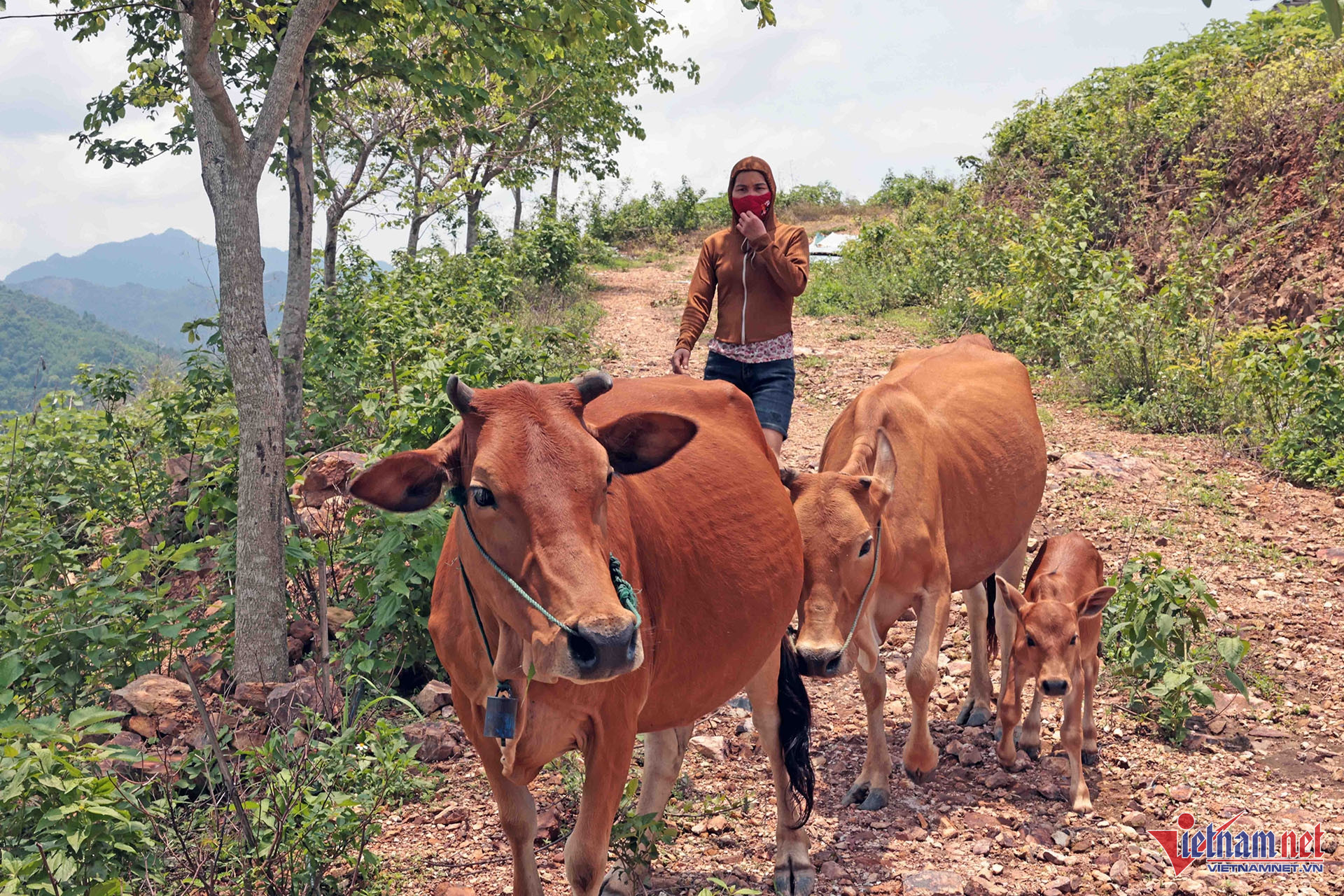 W-A10 MÙI THI HỒNG DT MUONG XA QUY HUONG_1249.jpg