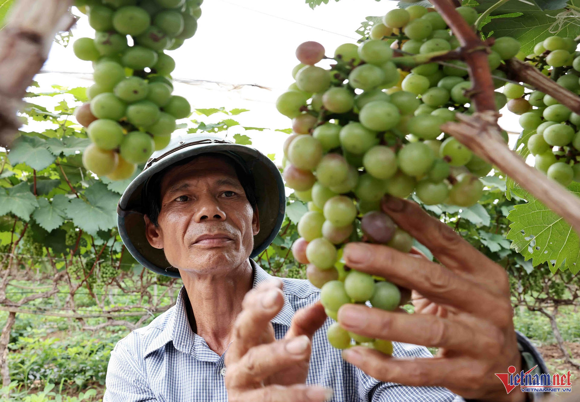 W-A11 cty lam ng song ma_2114.jpg