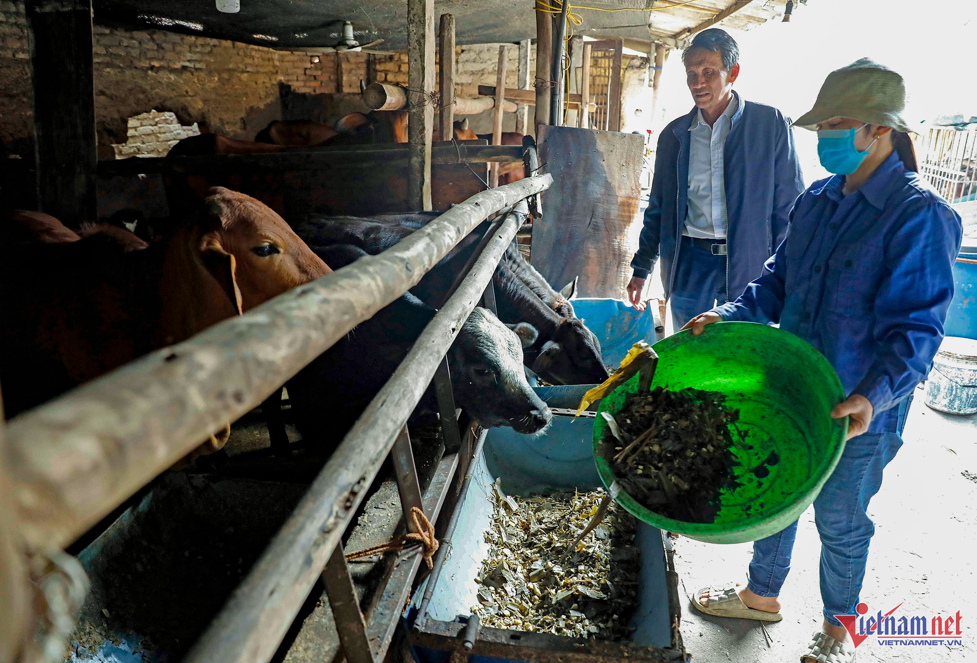 W-A12 NG THI HONG X LUOG PHOG H HOA VV TH NGEO_9350.jpg