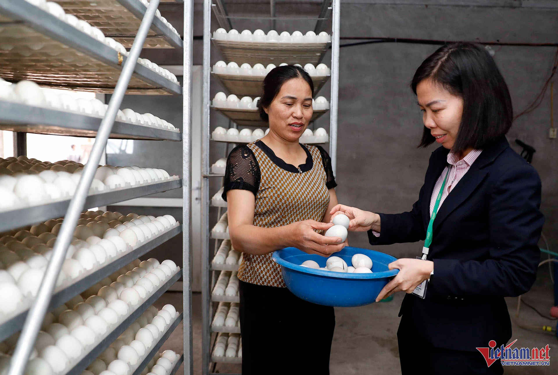 W-A13 NG TIEN ĐỊNH X DOAN BAI HH VV GQVL_9211.jpg