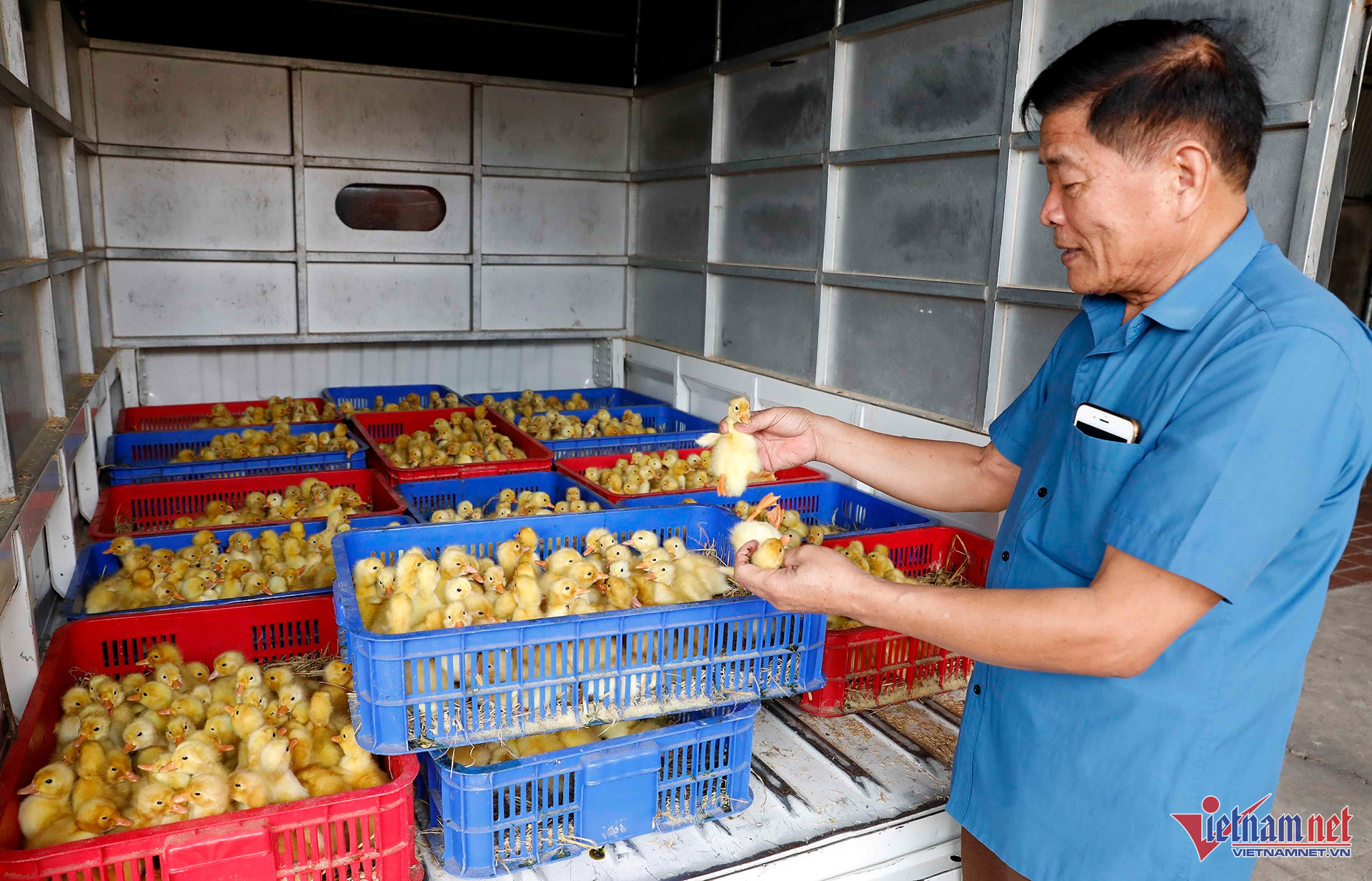 W-A15 NG TIÊN ĐỊNH X ĐOAN BAI HH_9243.jpg