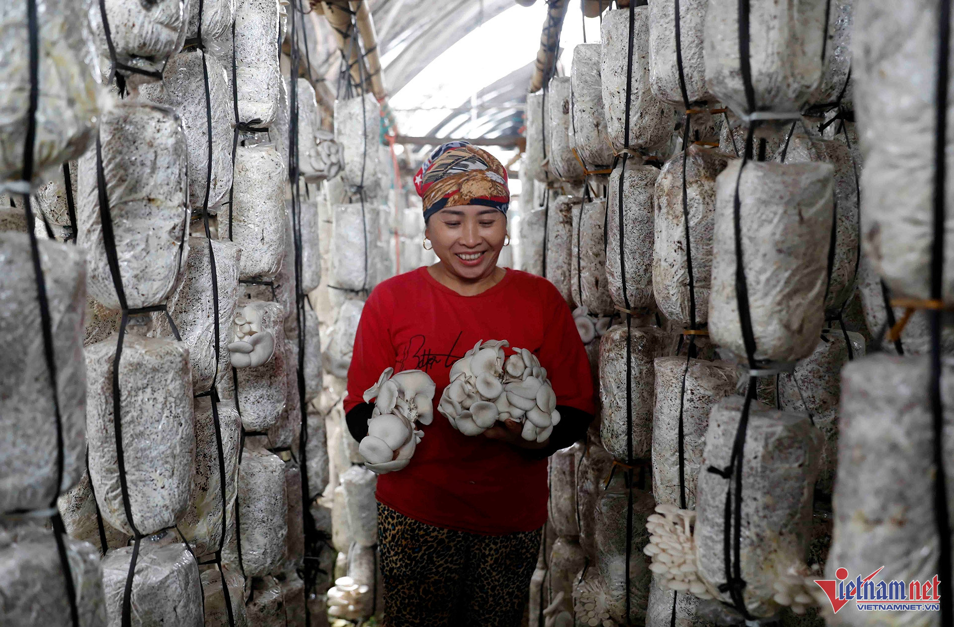 W-A16 NG VAN TRÌNH X TIẾN LỰC L GIAG VV GQVL_9501.jpg