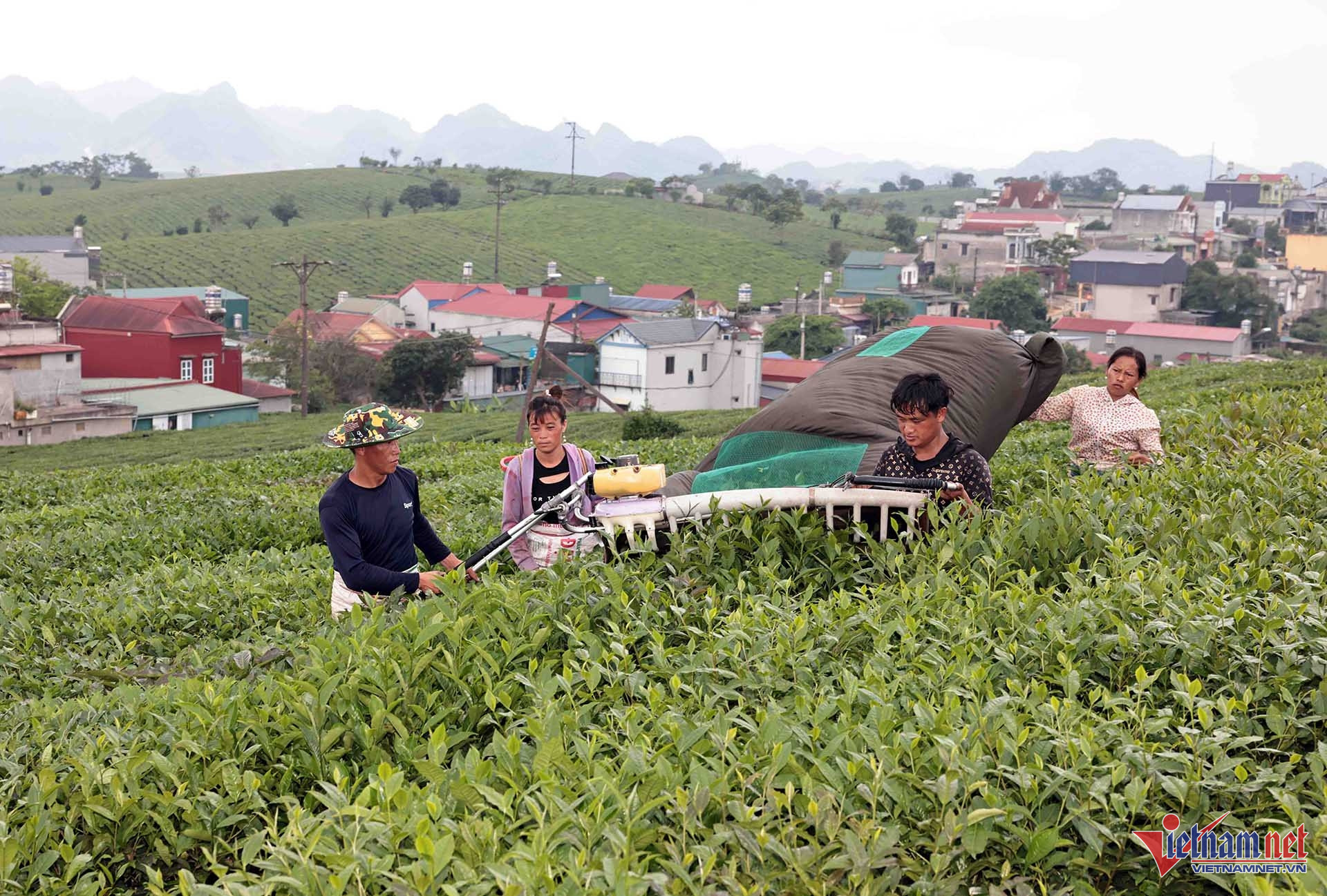 W-A3 LE VAN LINH VV GQVL_2609.jpg