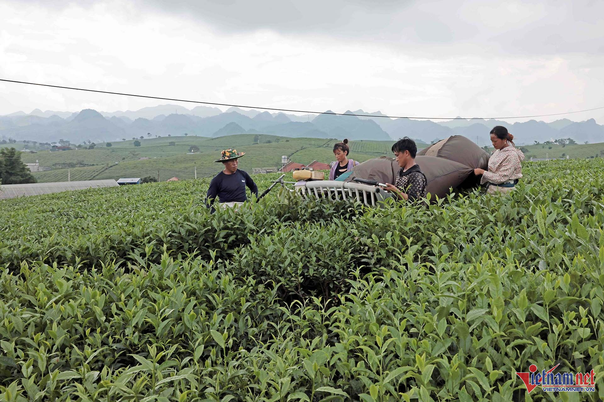 W-A4 LE VAN LINH VV GQVL_2626.jpg