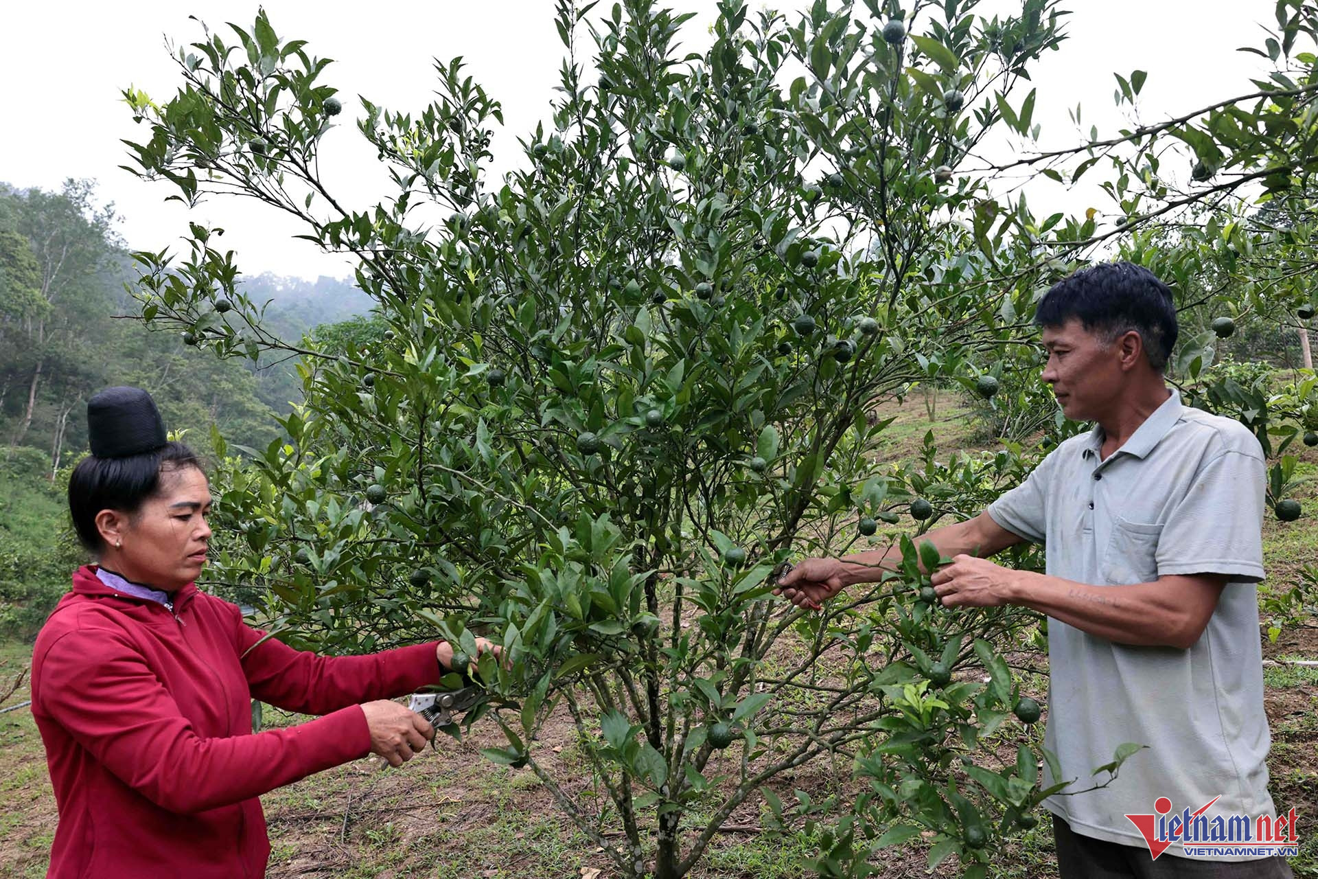 W-A6 LO THI NGUYEN XA NẶM LẠNH S COP_2226.jpg