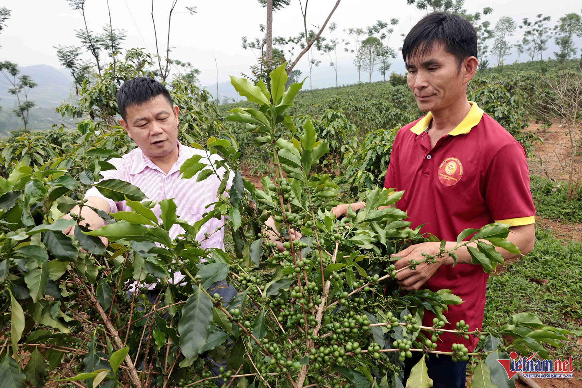 W-A8 TÒNG VAN CƯƠNG XA DỒM CANG S COP_2359.jpg