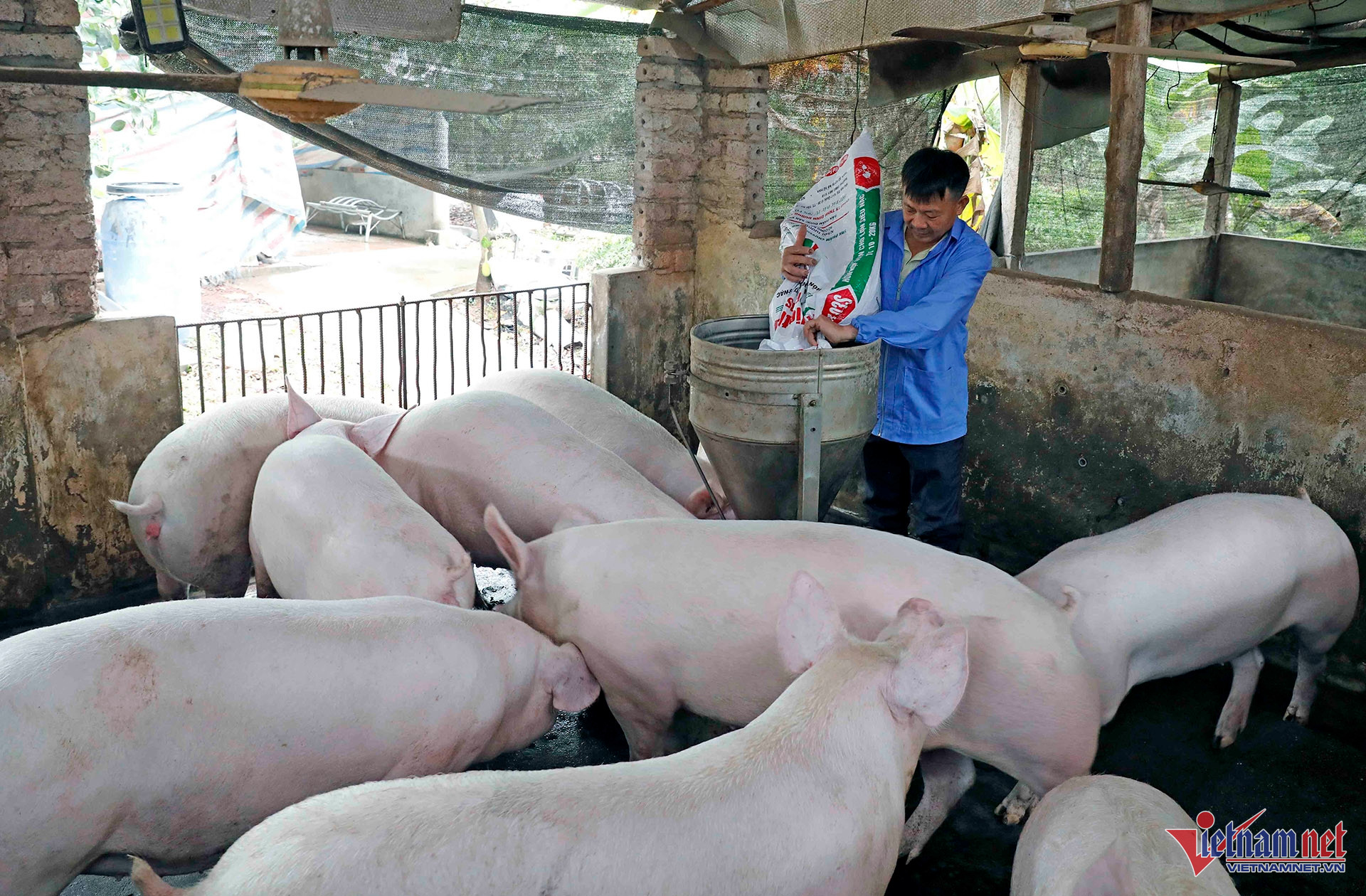 W-A9 HOAG VIET HIỆP X TIEN LUC L GIANG VV NQ11_9545.jpg