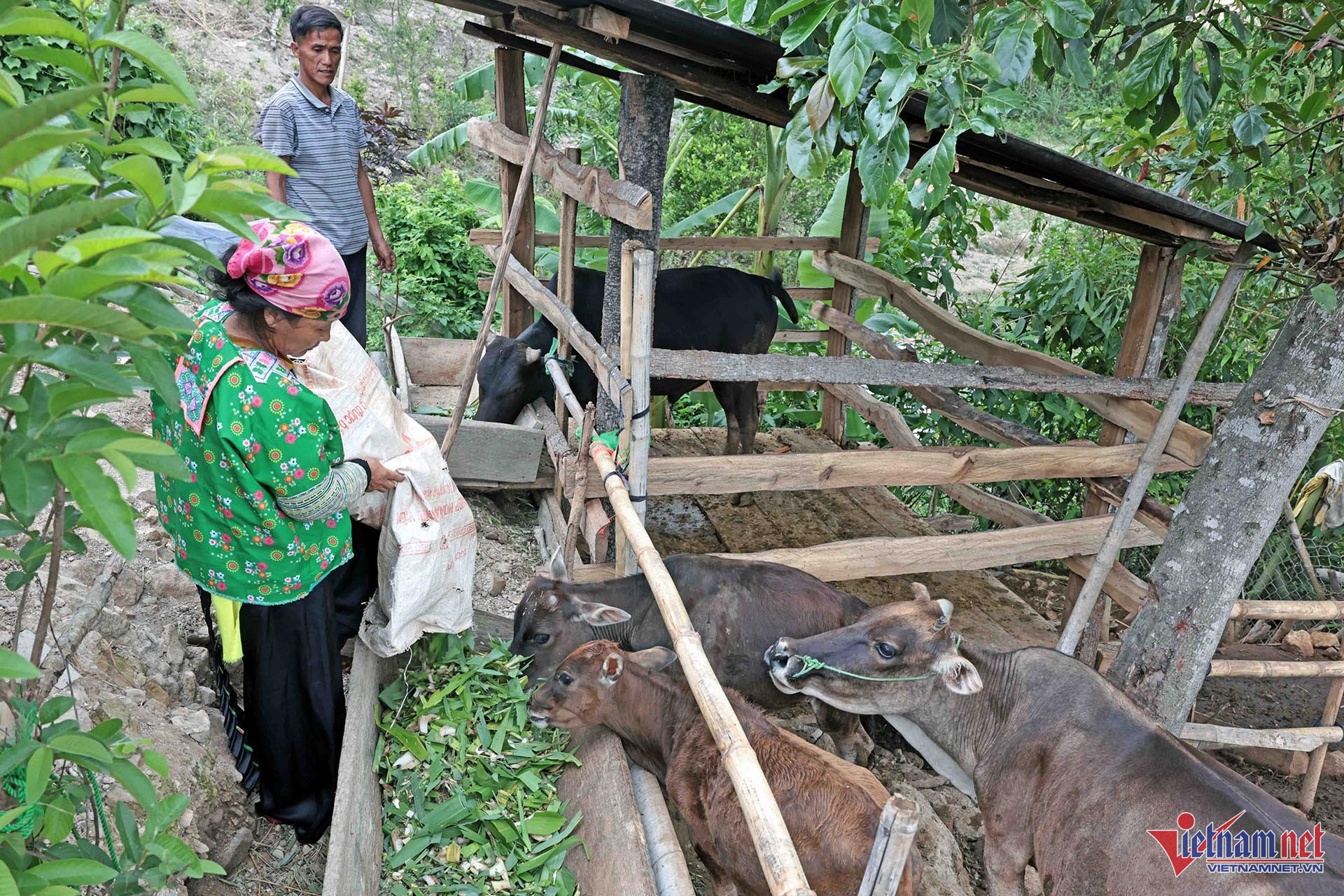 W-A9 VỪ A HẠ GIANG THI DÊNH_2183.jpg