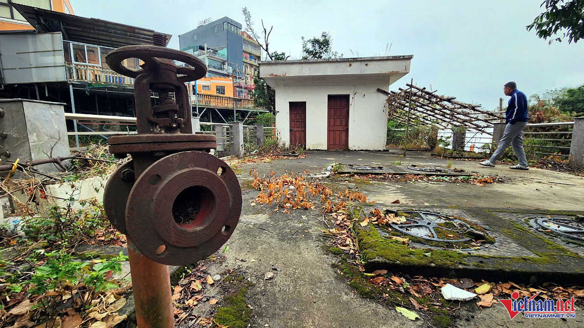 W-Du an bo hoang Tam Dao 6.jpg