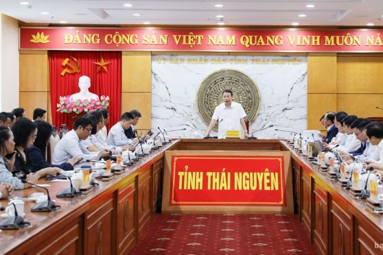 Bàn giải pháp phát triển chè Thái Nguyên bằng công nghệ số