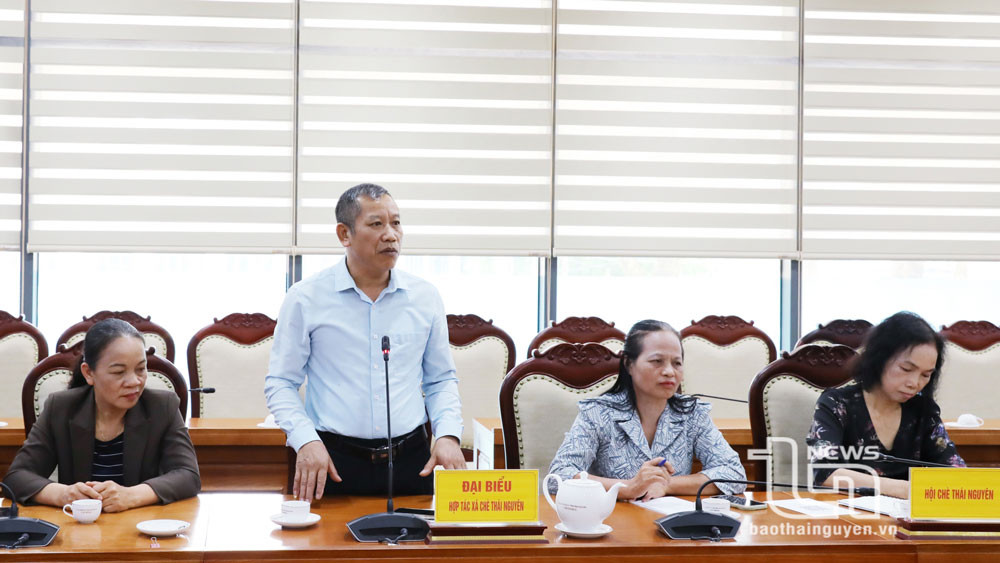 Đại diện hợp tác xã trên địa bàn tỉnh nêu ý kiến.