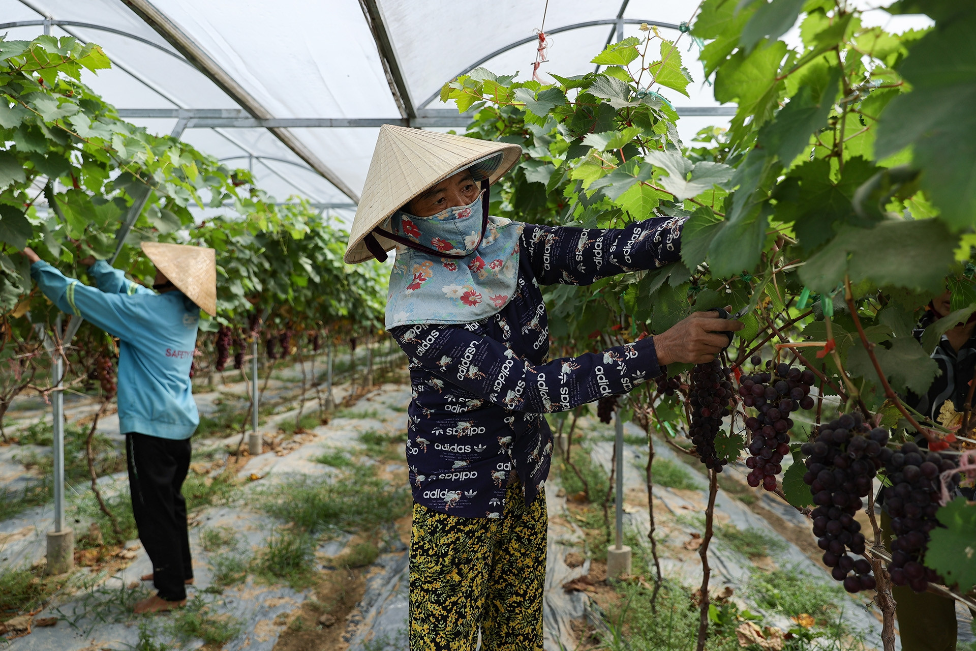 Đa dạng các hình thức truyền thông, giúp người dân vươn lên thoát nghèo