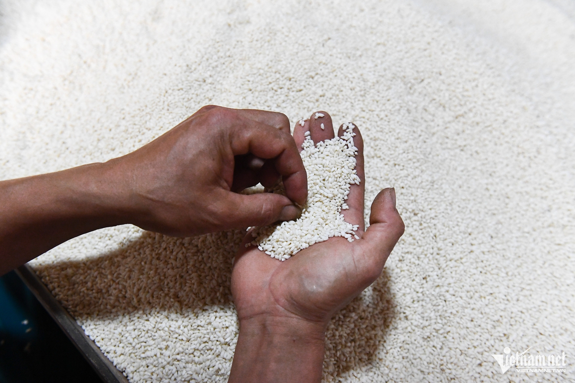 W-chuong trinh muc tieu quoc gia Phu Tho 17.jpg