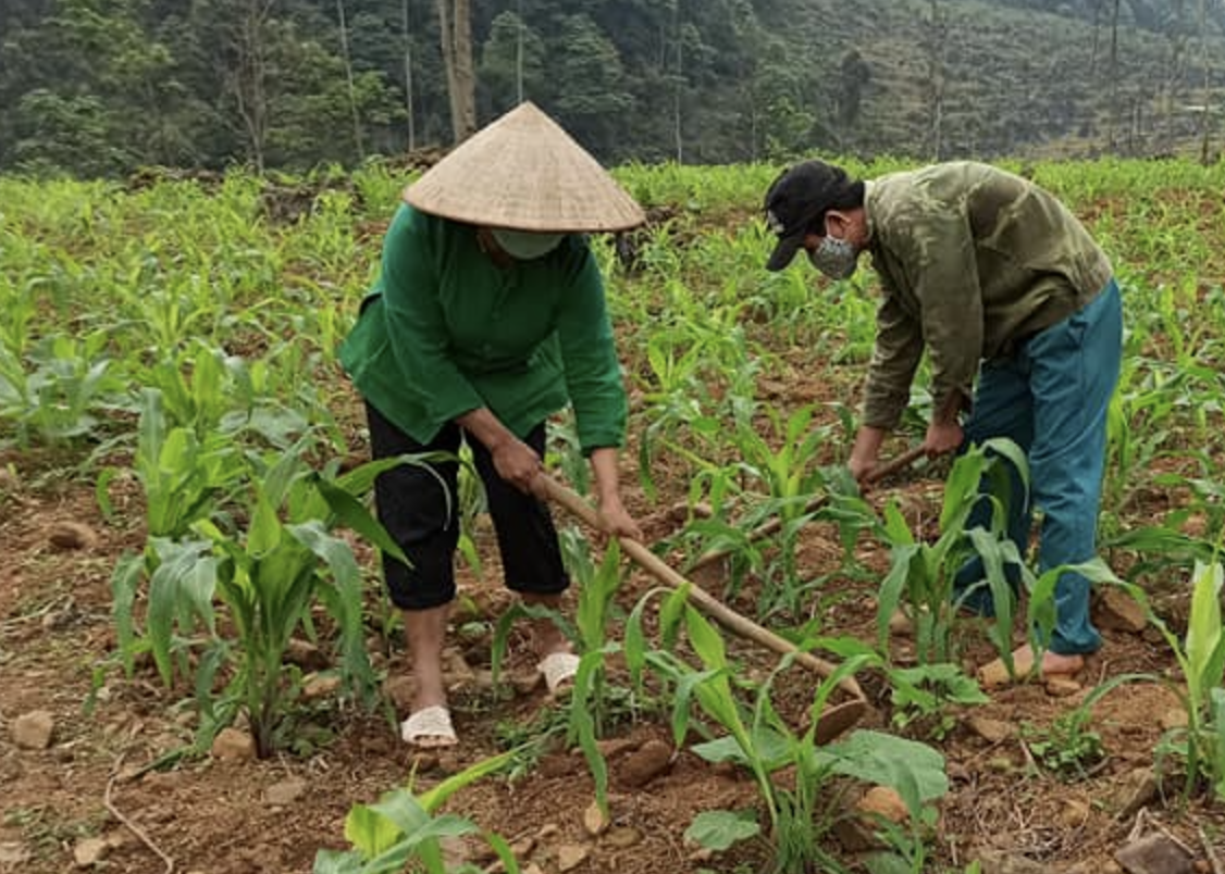 Ảnh chụp Màn hình 2024 12 05 lúc 09.08.17.png