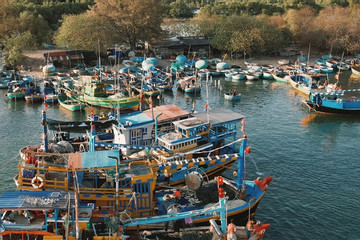 Bà Rịa - Vũng Tàu: Khẩn trương xử lý tàu cá mất kết nối VMS trên 6 giờ