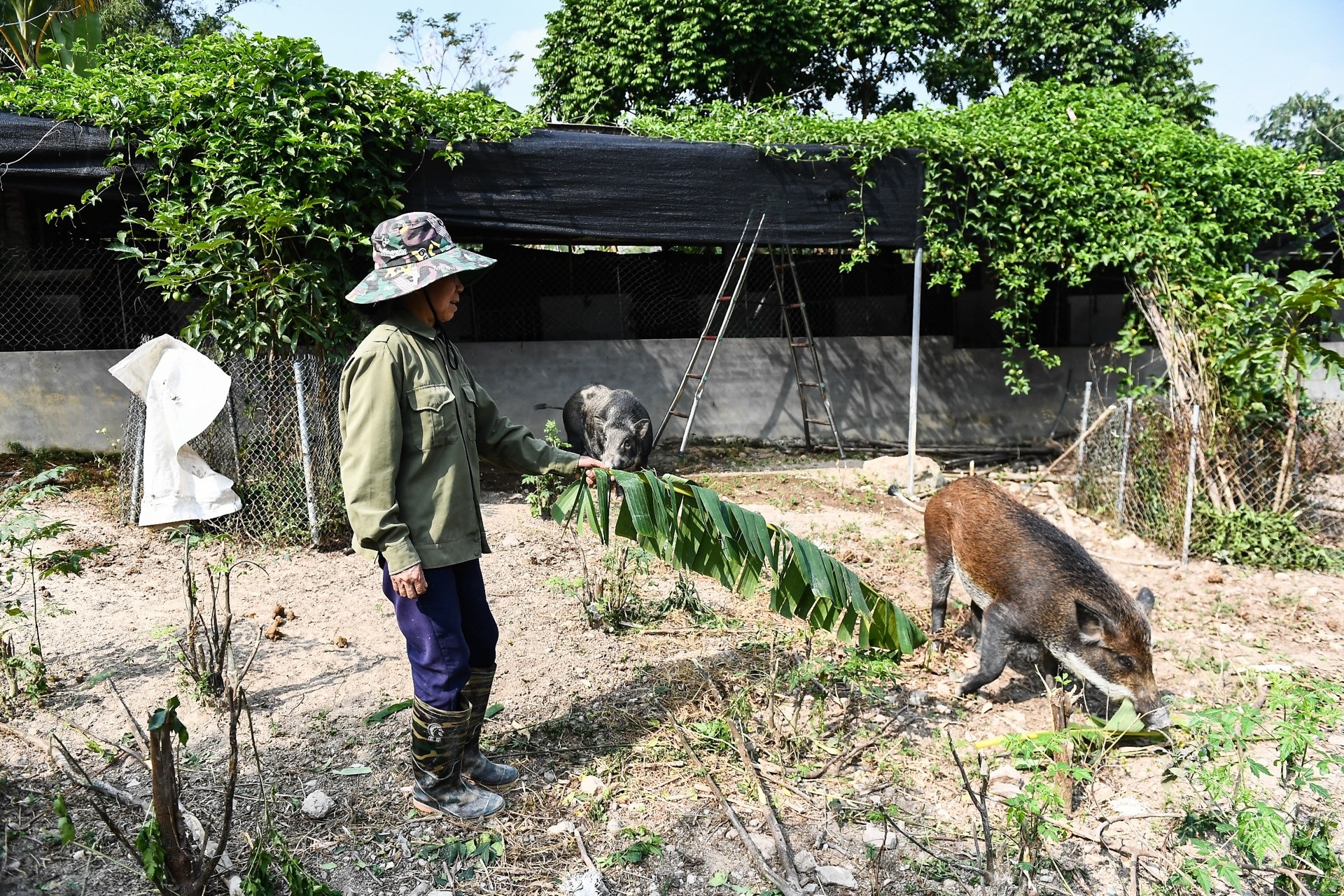 Không chạy theo thành tích giảm nghèo mà cần khích lệ đồng bào tự giác