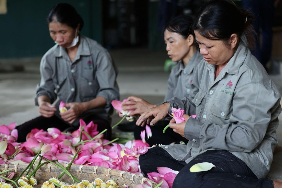 Ngày hội hướng nghiệp xây nền tảng thoát nghèo bền vững