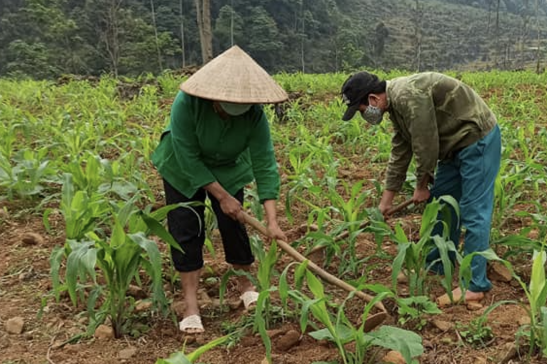 Giảm nghèo thông tin giúp đời sống người dân Cao Bằng khởi sắc