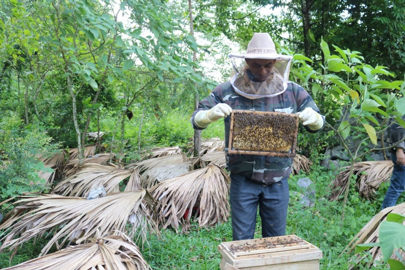 Tuyên truyền hiệu quả mô hình kinh tế, giúp đồng bào dân tộc thiểu số vươn lên