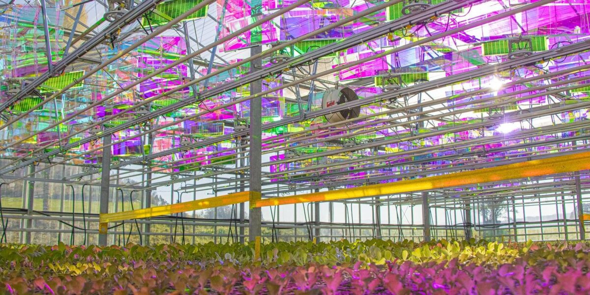 Voltiris project 1200x600.jpeg