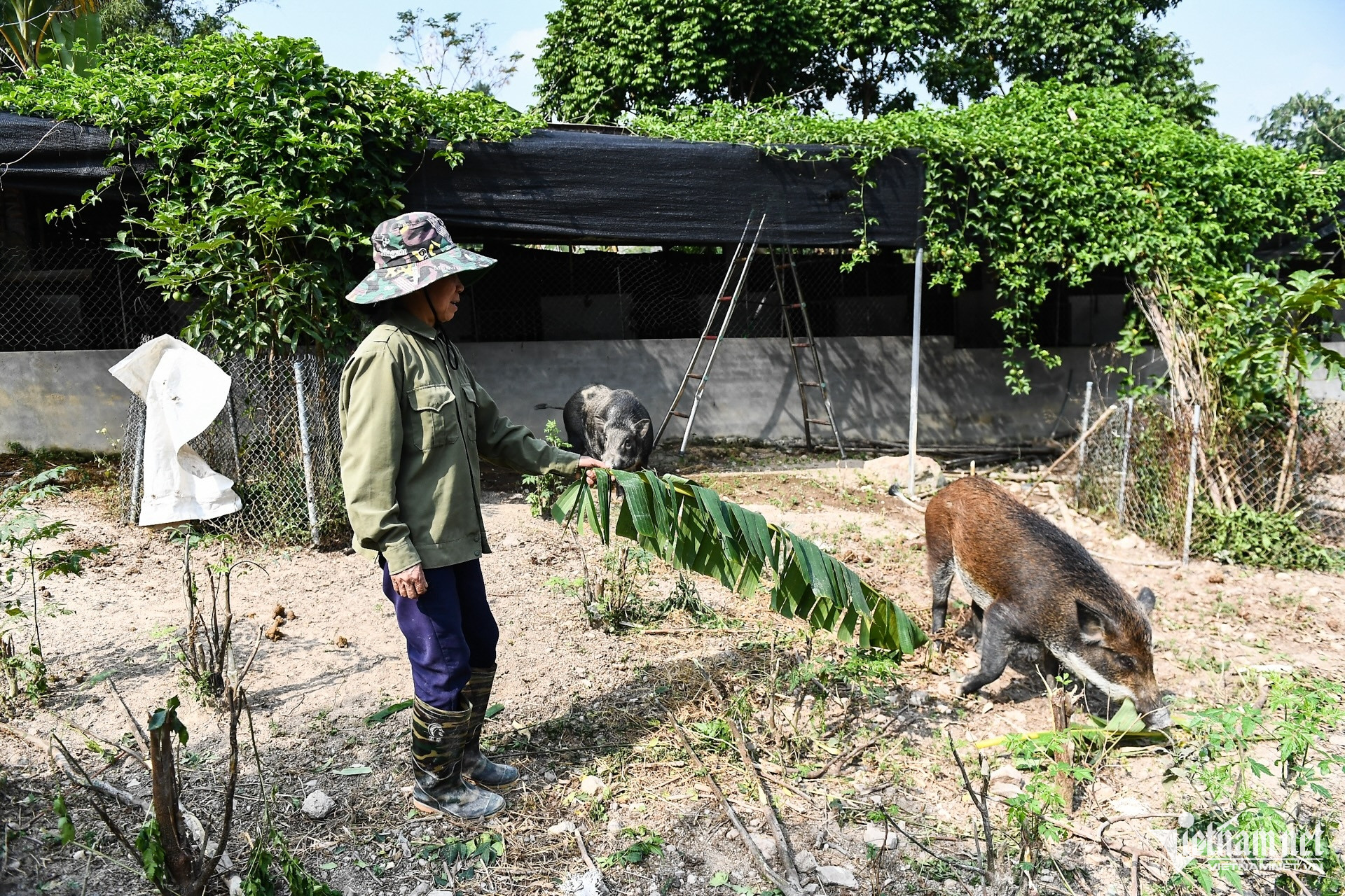 W-Giam ngheo 1 (1).jpg