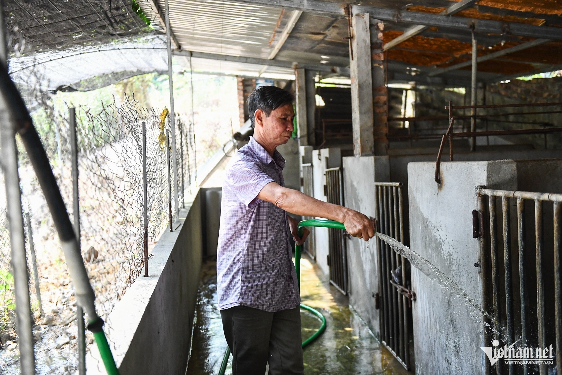 W-Giam ngheo 1 (5).jpg