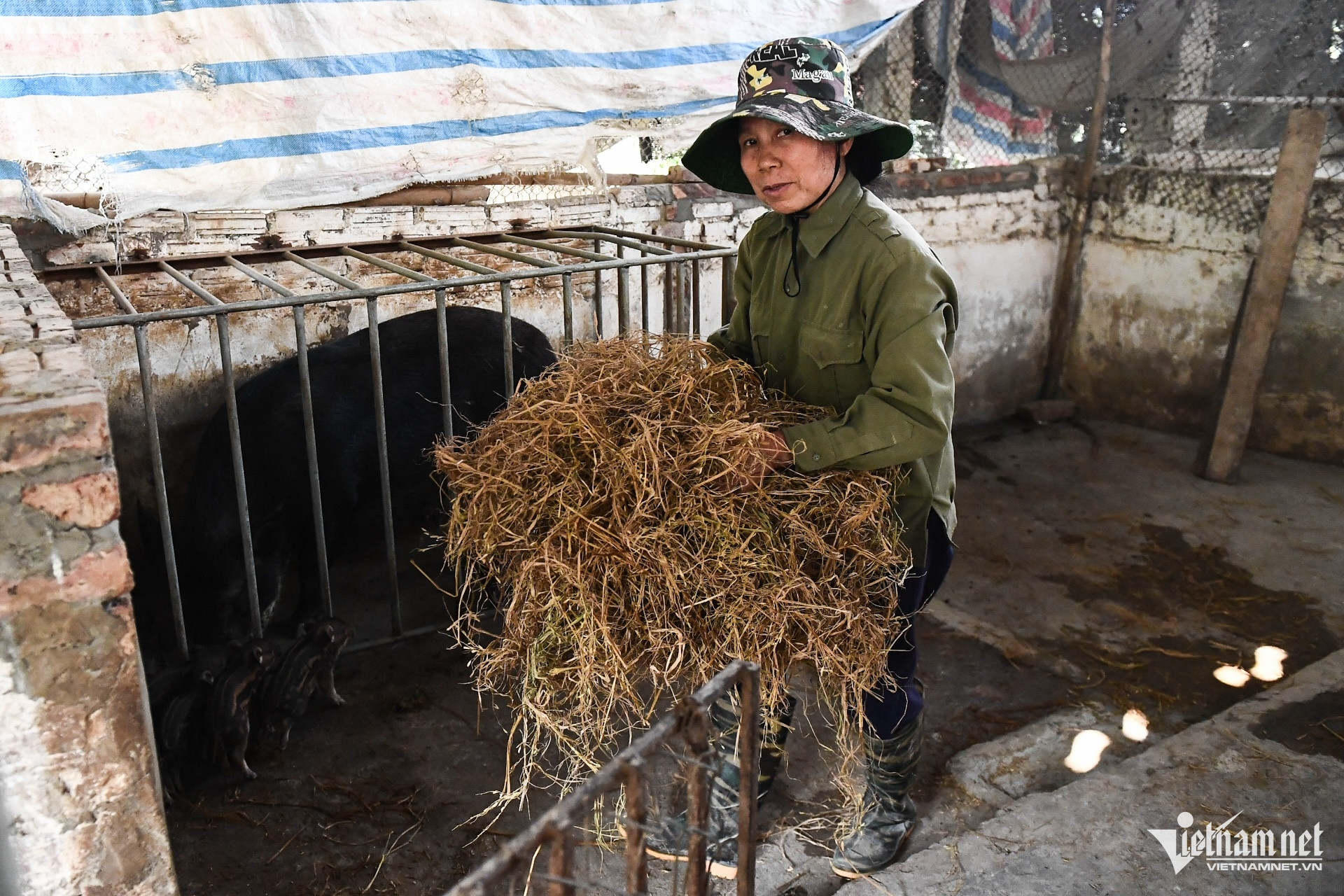 W-Giam ngheo 1 (6).jpg