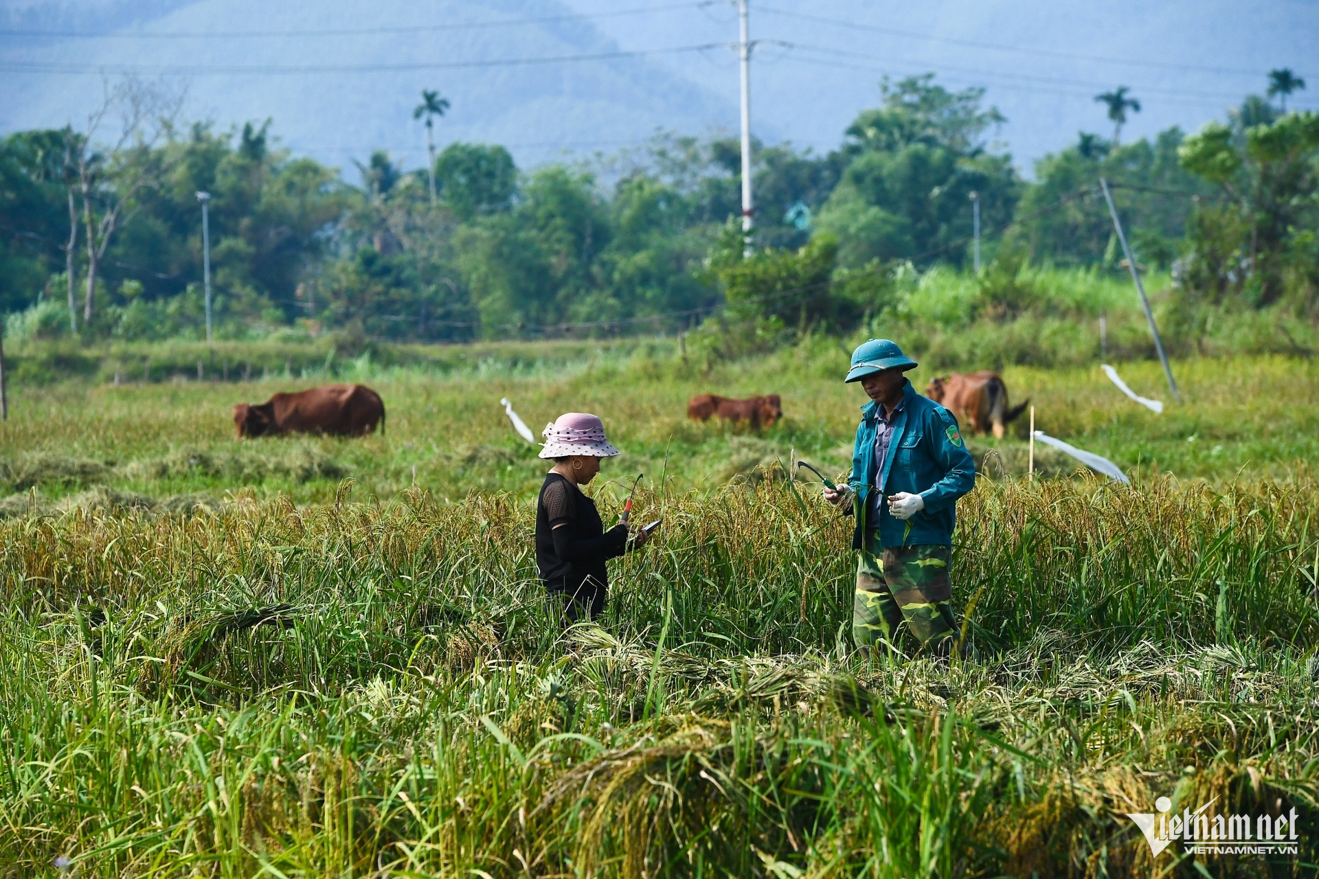 W-giam ngheo 3 (11).jpg