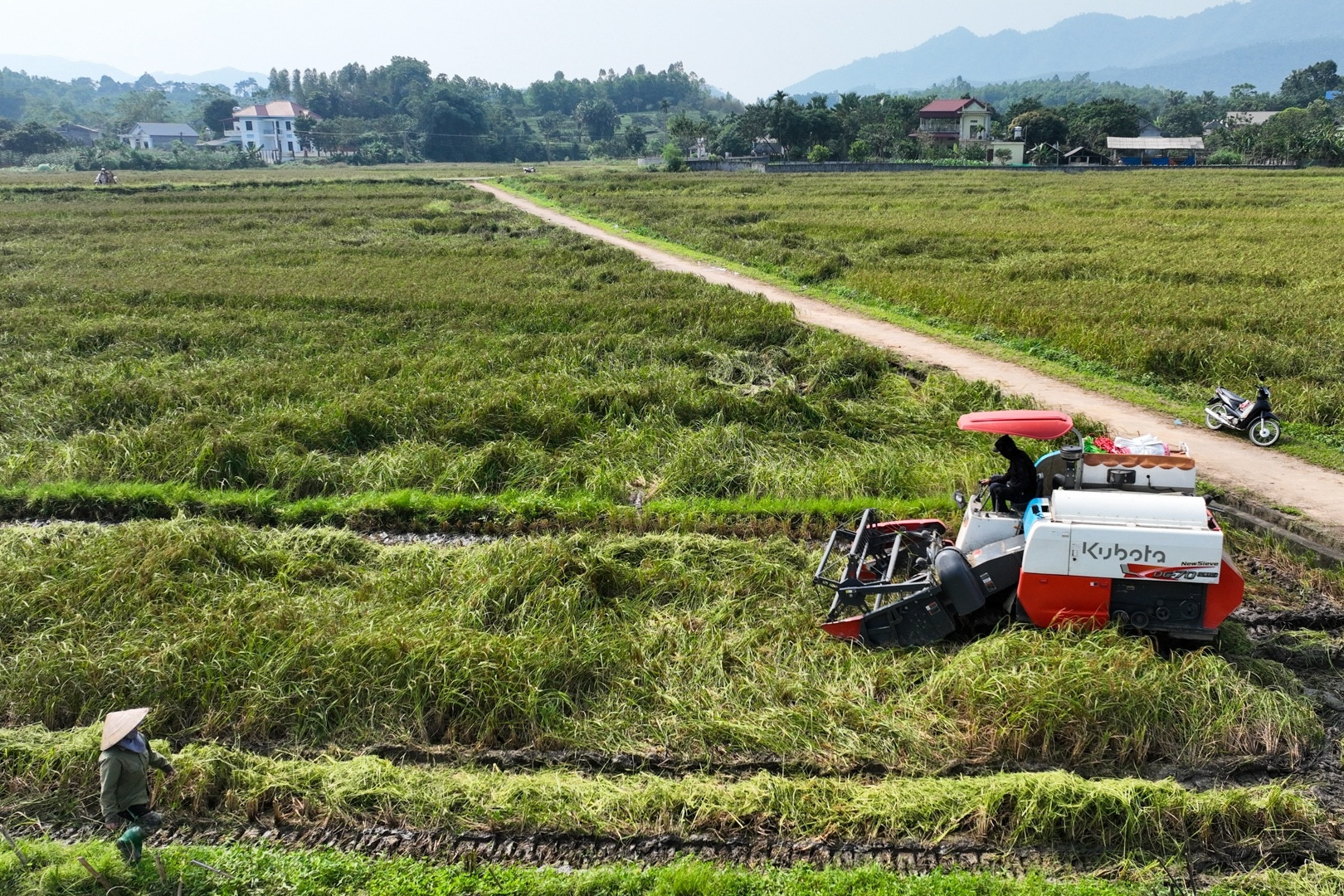 Thoát nghèo từ vùng đất mới