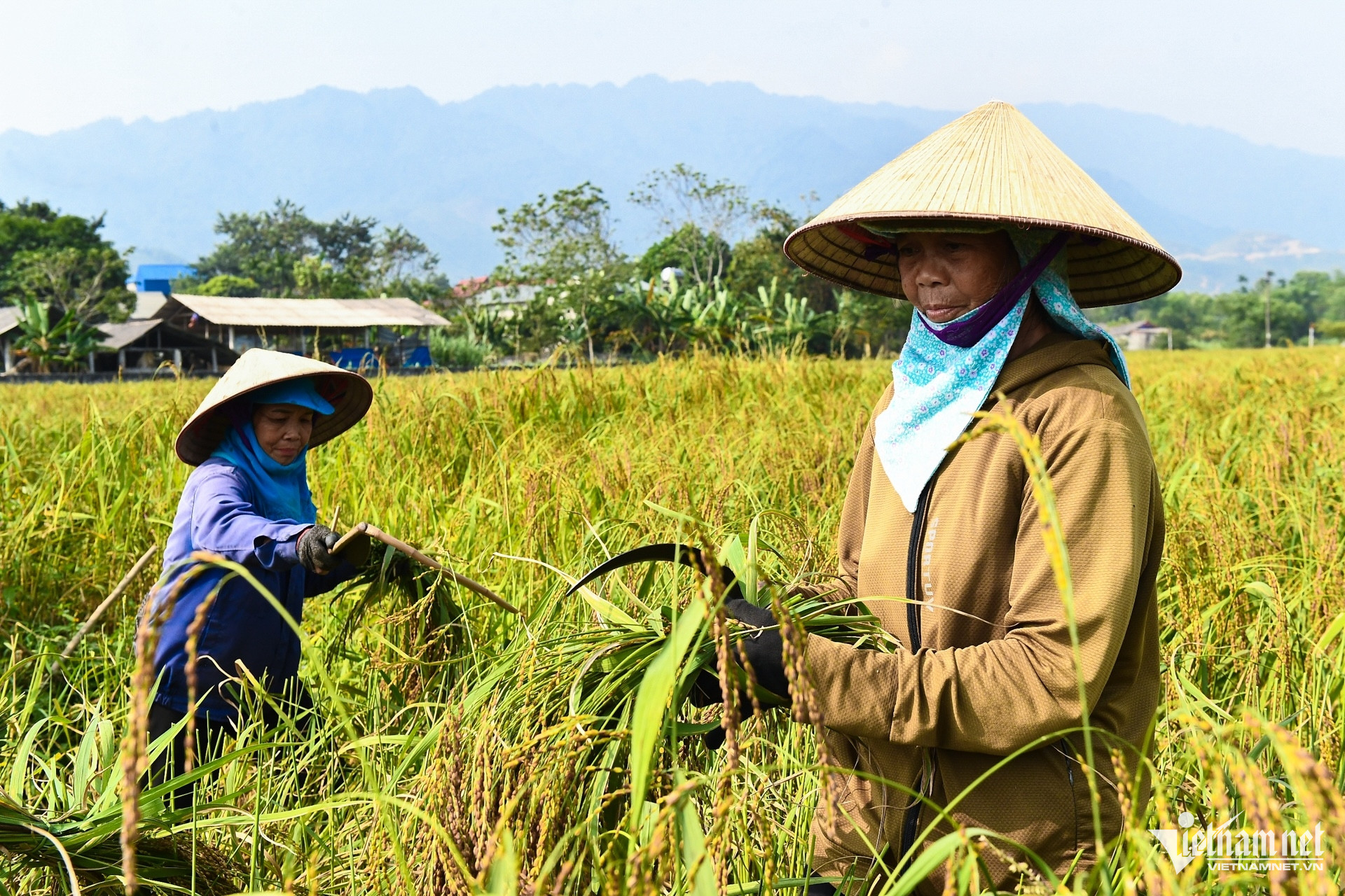 W-giam ngheo 3 (6).jpg