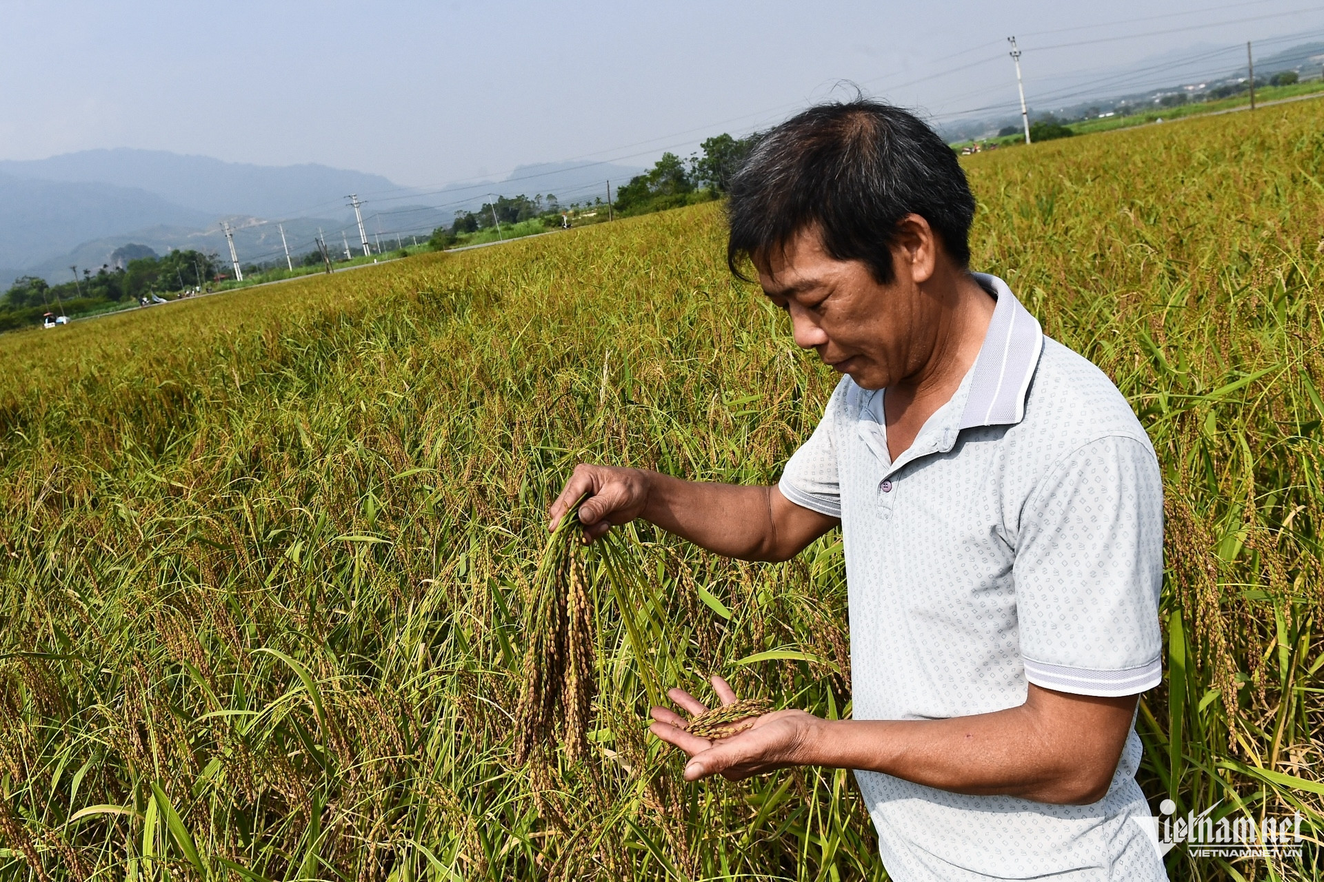 W-giam ngheo 3 (7).jpg