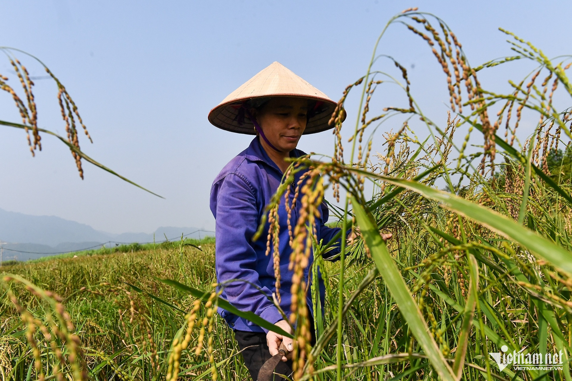 W-giam ngheo 3 (9).jpg