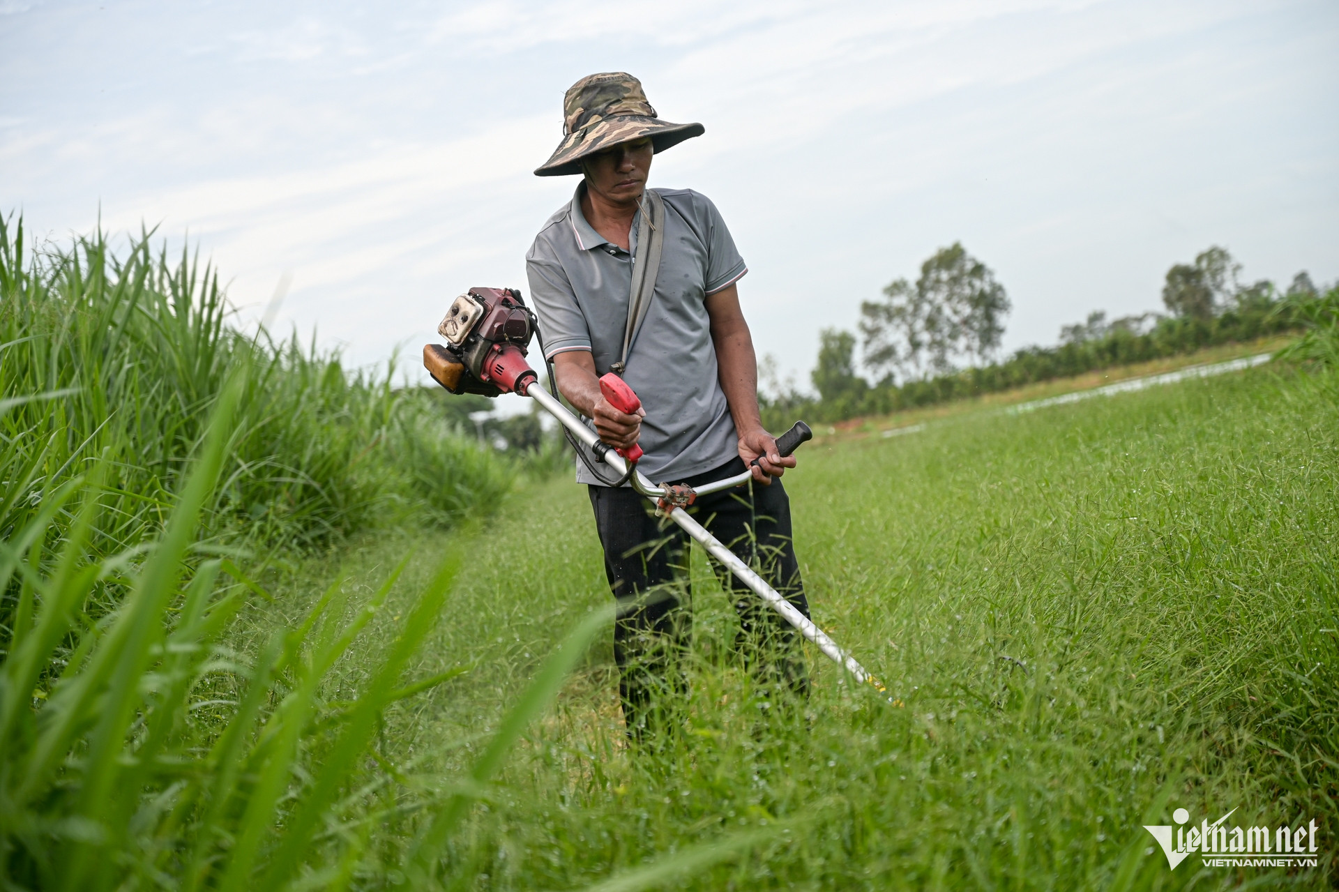 W-giam ngheo hue 1.jpg